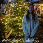 Weihnachtsmarkt 2024